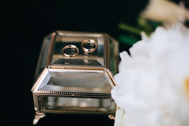 Anillos de bodas de oro en una caja de cristal para joyería