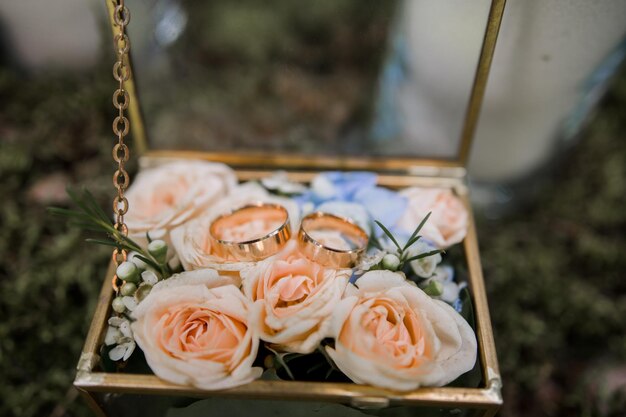 Foto anillos de bodas de oro en una caja transparente.