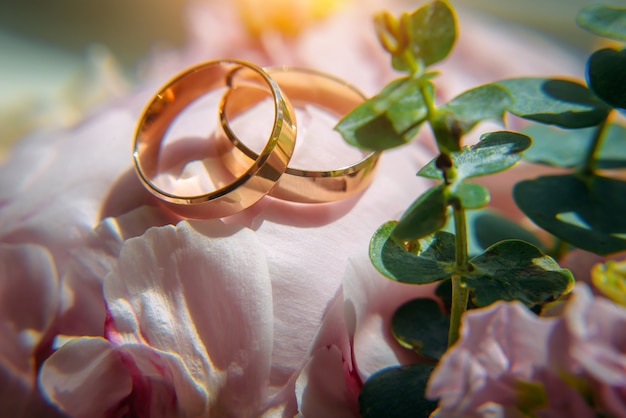 Anillos de bodas de oro y delicadas flores rosadas, enfoque selectivo, primer plano. Foto de boda con espacio de copia.