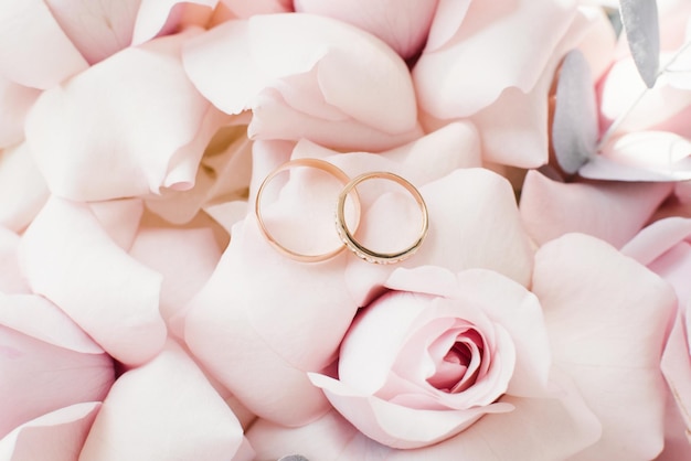 Los anillos de bodas de oro se encuentran en el primer plano de delicadas rosas rosadas