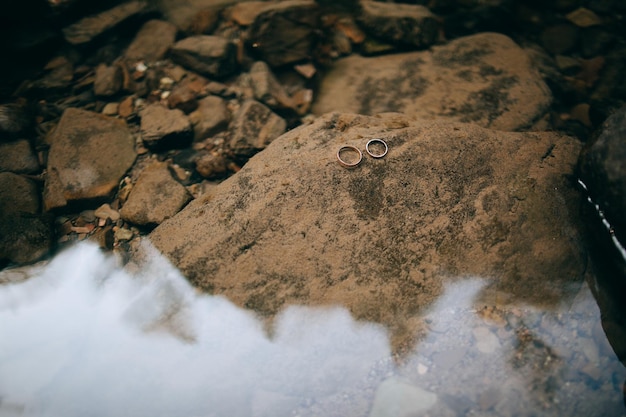 Anillos de bodas de oro yacen sobre una piedra bajo el agua El concepto de amor