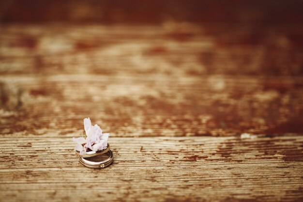 Foto anillos de compromiso de boda de cerca