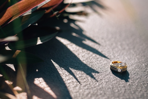 Anillos de compromiso de boda