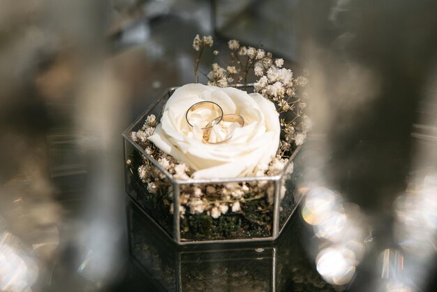 Foto anillos de compromiso en una caja de vidrio con musgo en pétalos de rosa decoración de boda de lujo