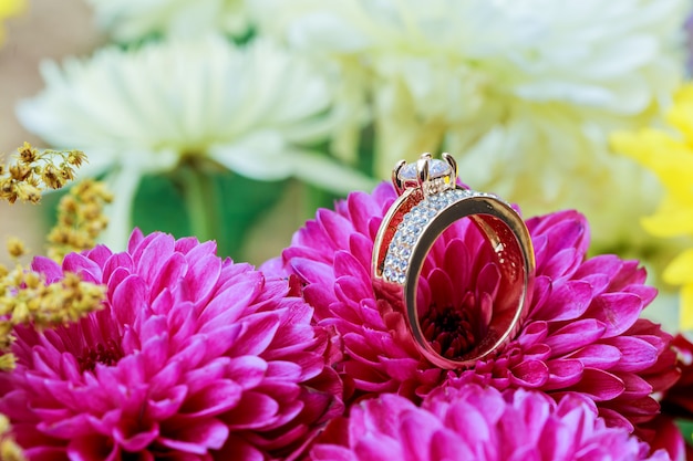 Foto anillos de dalias rosas que aman el día de san valentín tintado y suavizado - boda de diamante