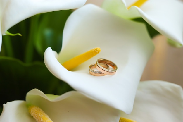 Anillos de oro y callas.