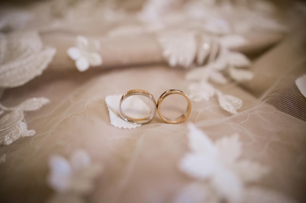 Anillos de oro en el vestido de novia de la novia.