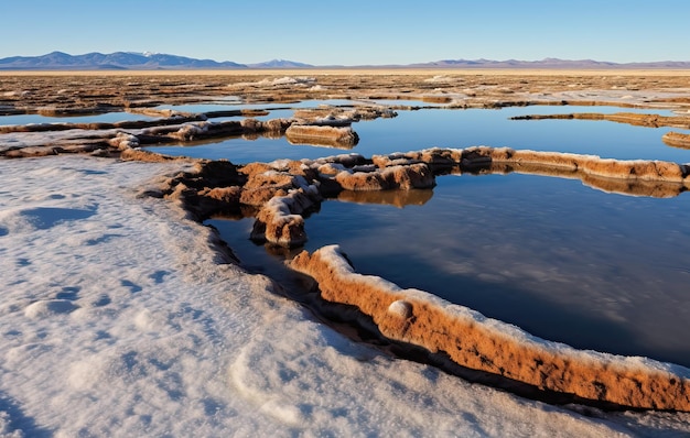 Anillos de sal en el agua creados por la naturaleza