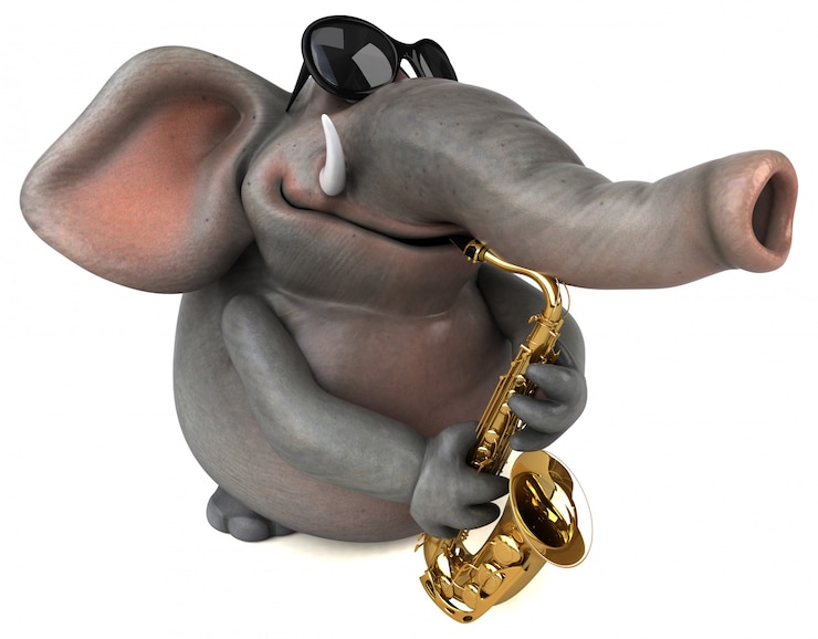 Foto animação divertida de elefante