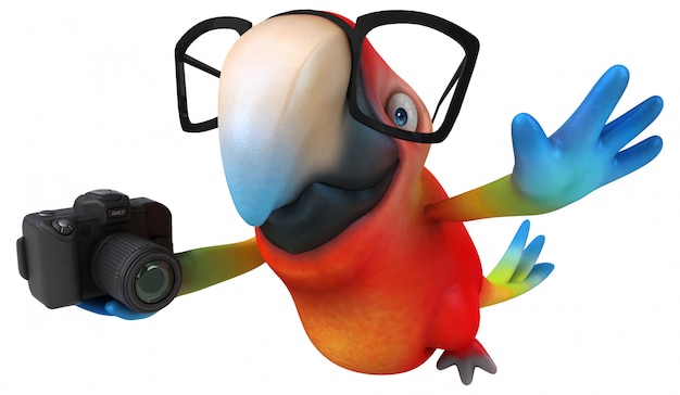 Foto animação divertida de papagaio