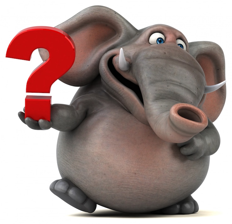Foto animación divertida de elefante