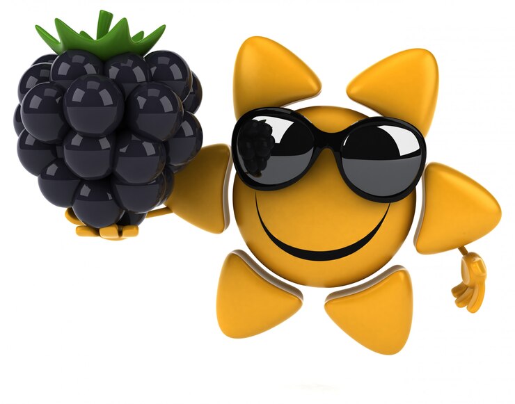 Foto animación divertida del sol