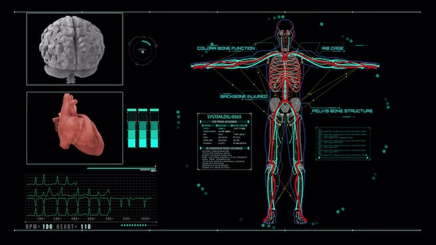 Animación de escaneo cardíaco humano Anatomía del corazón con interfaz futurista Investigación hospitalaria Pantalla de tecnología avanzada futurista Interfaz de aplicación médica holográfica Bucle sin costuras