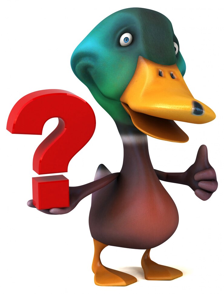 Foto animación de pato divertido