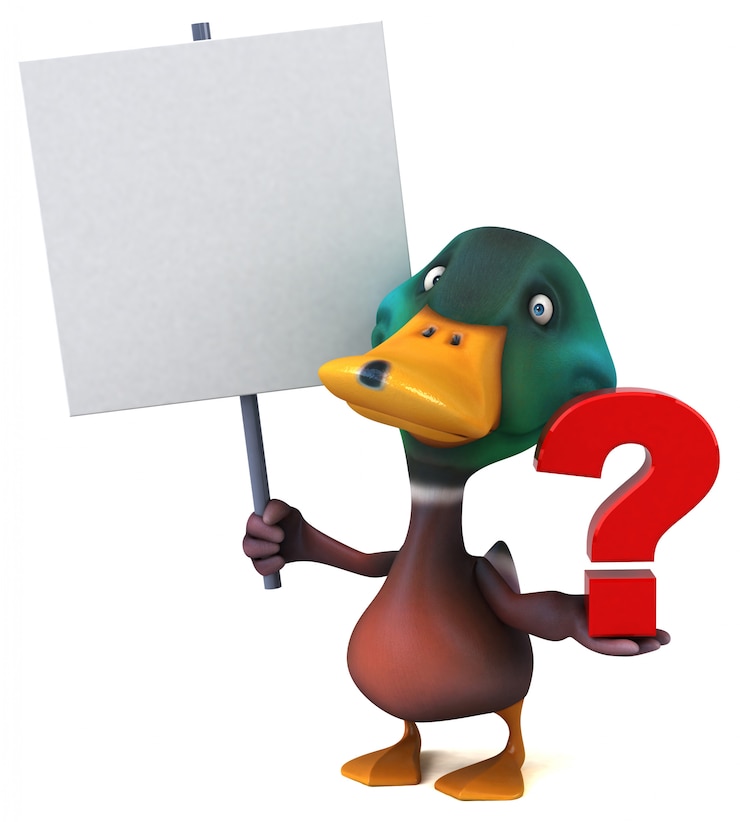 Foto animación de pato divertido