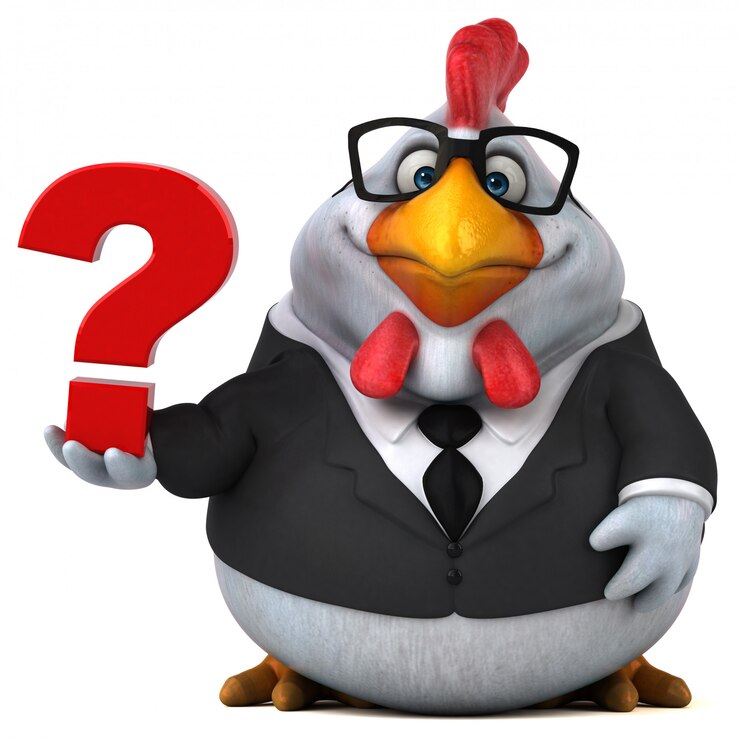 Foto animación de pollo divertida