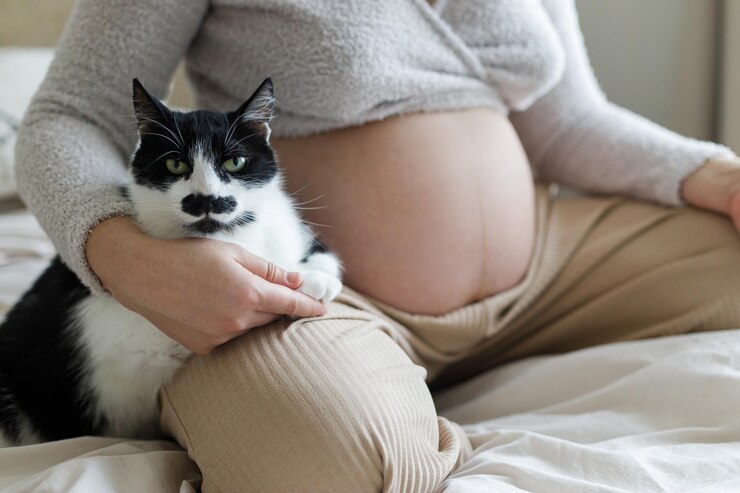 Foto animais de estimação e gravidez mulher grávida abraçando um gato bonito em um berço de bebê e sentada em uma cama aconchegante com travesseiros de perto fertilidade preparação para o bebê com um amigo gato