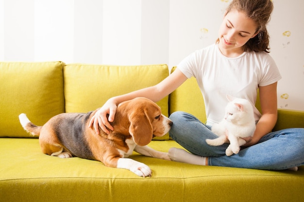 Animais de estimação estão olhando um para o outro enquanto a garota está sentada e dando tapinhas neles