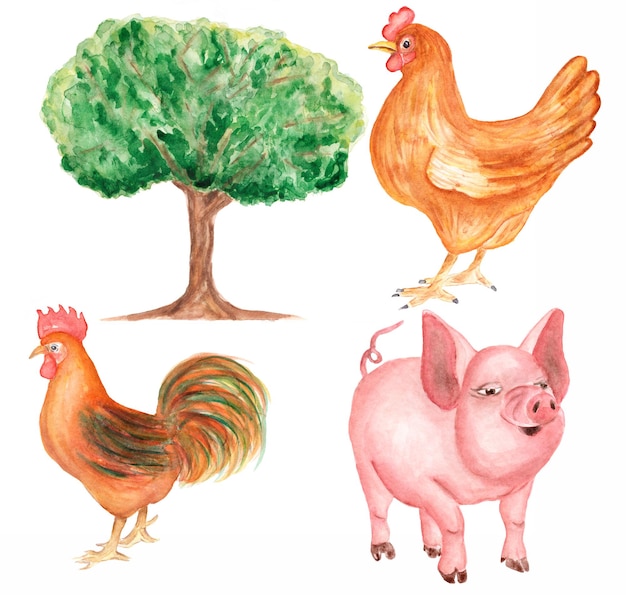 Animais de fazenda Clipart Aguarela desenhada à mão ruster e galo Clip art Ilustração de porco bonito