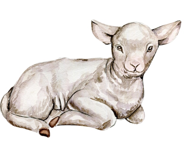 animais de fazenda Watercolor