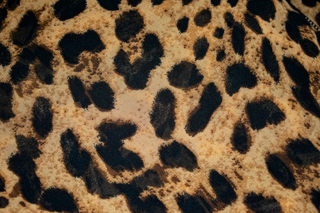 Foto animal print de leopardo sobre lienzo textura de piel o fondo