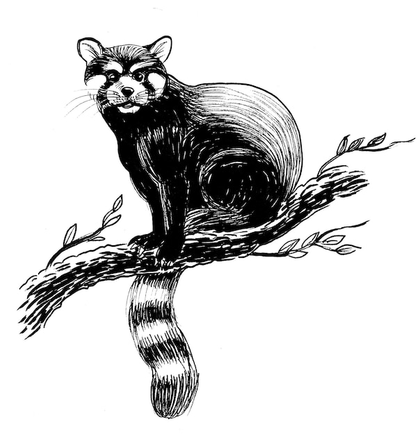 Animal salvaje sentado en la rama de un árbol. dibujo a tinta en blanco y negro