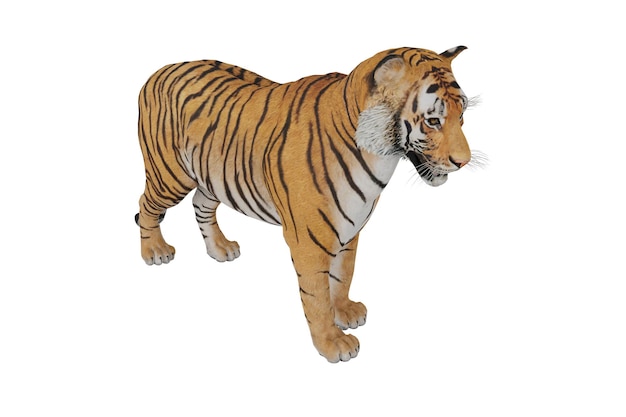 animal tigre realista de renderização 3d