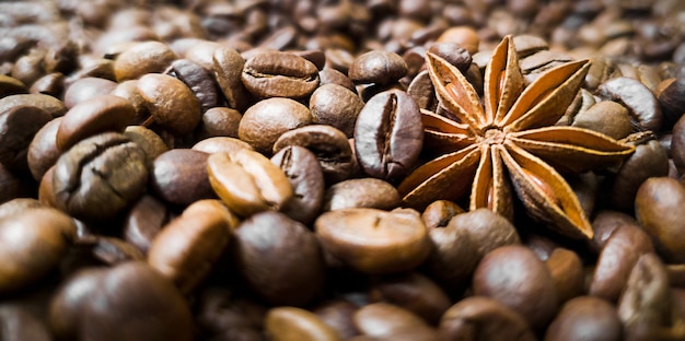 Anís estrellado, anís y granos de café tostado.