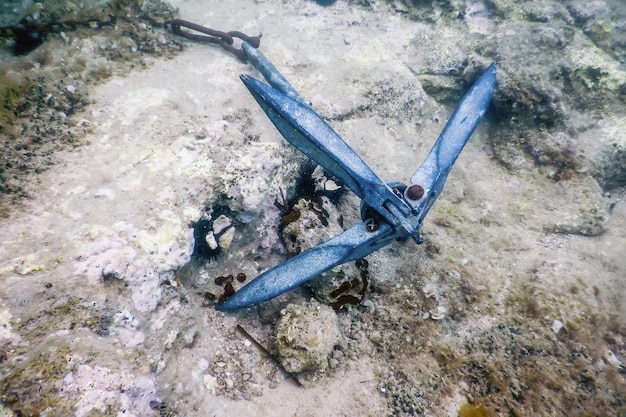 Anker liegend auf dem Meeresboden Unterwasserleben