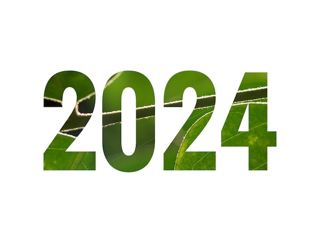 Foto el año 2024 con un patrón de hoja verde sobre un fondo blanco