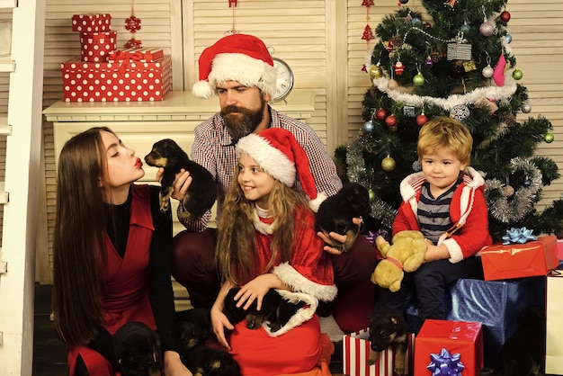 Ano novo de cachorro feliz natal família com cachorrinho