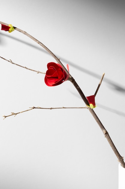 Foto año nuevo chino 2021 pequeña flor roja