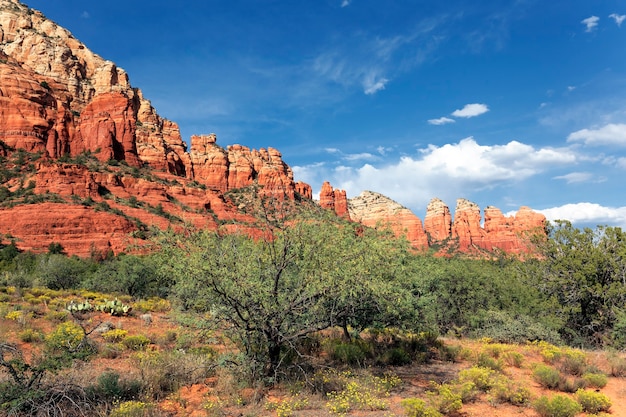 Anoitecer se aproximando na paisagem selvagem, sedona