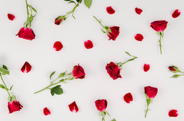 Foto anordnung für einfache rote rosen