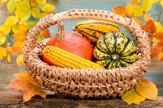 Foto anordnung von herbstfrüchten und dekoration