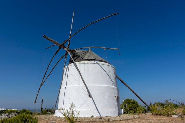 Ansicht der traditionellen Windmühle Vejer de la Frontera Andalusien Spanien