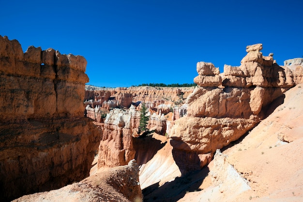 Ansicht des berühmten Navajo-Pfades im Bryce Canyon, Utah