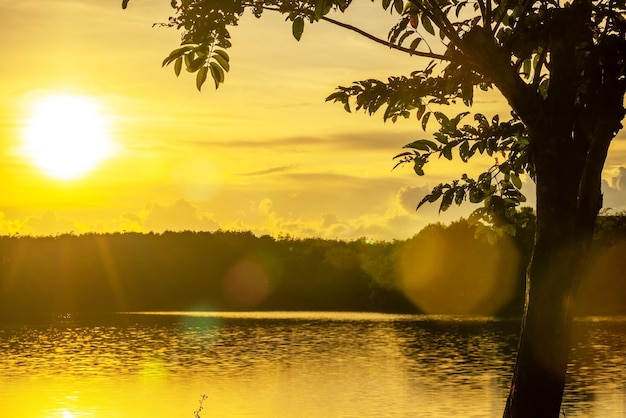 Ansicht des bunten dramatischen Himmelsuntergangs oder -aufgangs mit Wolkenhintergrund auf dem Wasserfluss im Wald