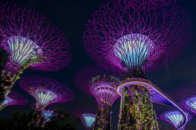 Ansicht des Gartens durch die Bucht nachts - Singapur.