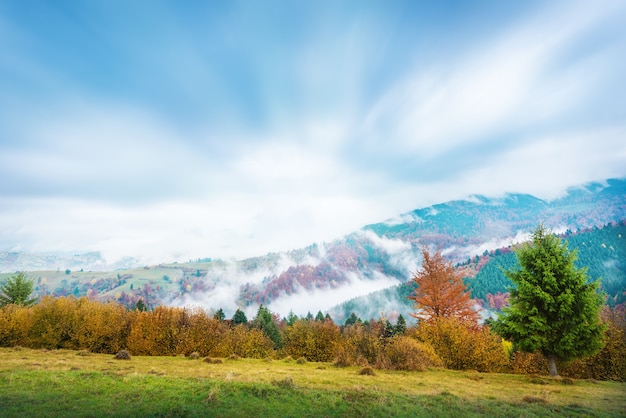 Ansicht des nebligen Herbsttages in den Bergen und im schönen Tal mit den bunten Bäumen
