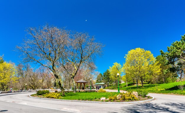 Ansicht des Niagara Falls State Park in New York, Vereinigte Staaten