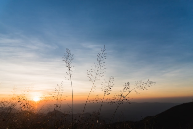 Ansicht des Sonnenuntergangs von grasartig am Berg