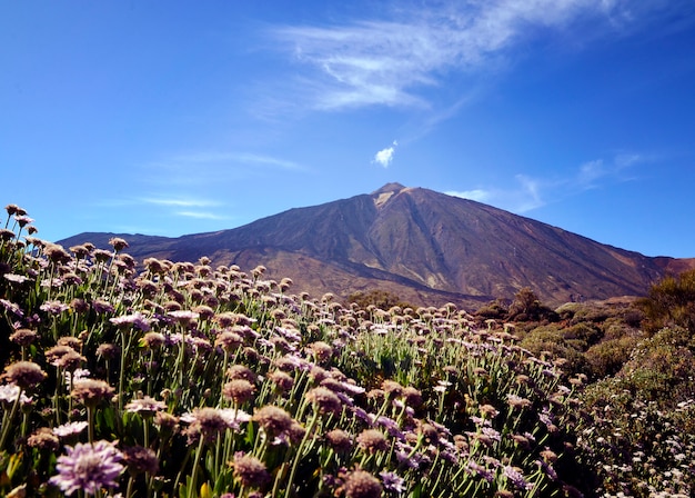 Foto ansicht des teide-vulkans im teide-nationalpark, teneriffa, kanarische inseln, spanien.