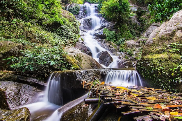 Ansicht des Wasserfalls im Wald