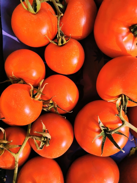 Ansicht einer Gruppe von Tomaten