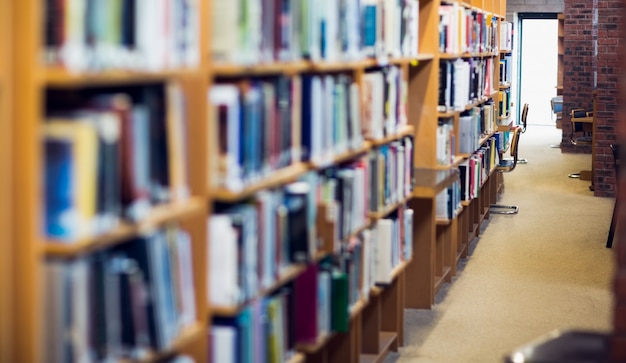 Ansicht eines schmalen Gangs entlang Bücherregalen in der Collegebibliothek