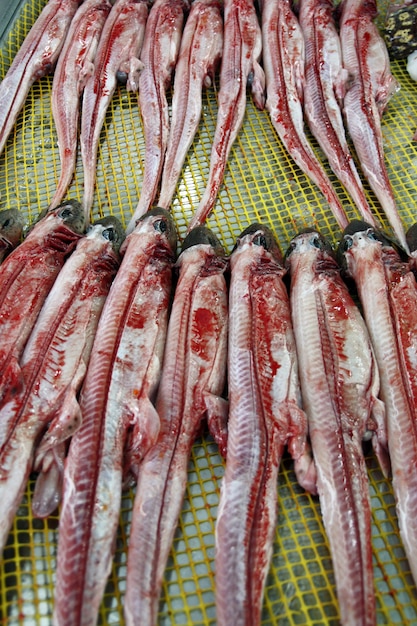 Foto ansicht einiger fleisch entfernter katzenhaihaie am markt.