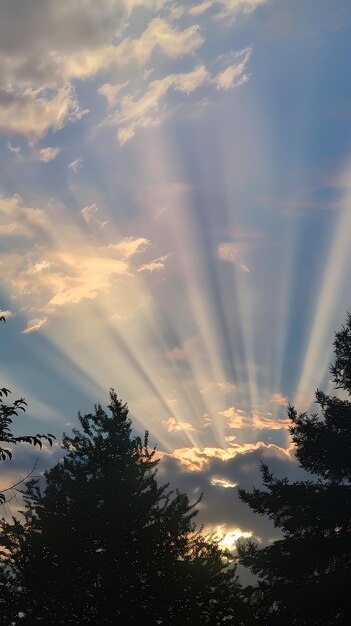 Ansicht Sonnenschein Himmel Bäume Vordergrundstrahlen Banner Hütte Hippie Naturforscher anomales Objekt junge Strahlen