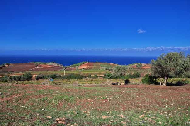 Ansicht über mittelmeerküste in algerien, afrika