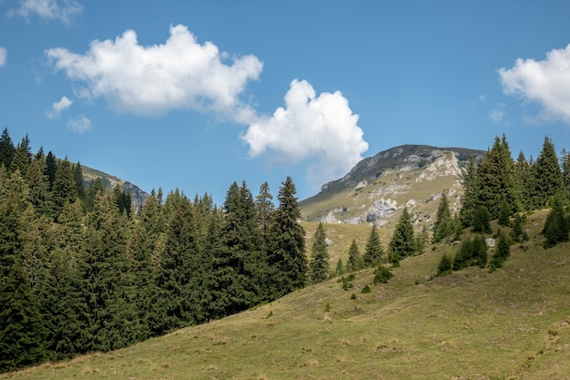 Ansicht von Bucegi-Bergen, Nationalpark Rumäniens, Bucegi